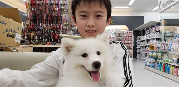 写真