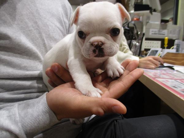 写真