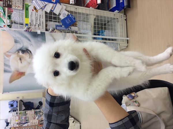 写真
