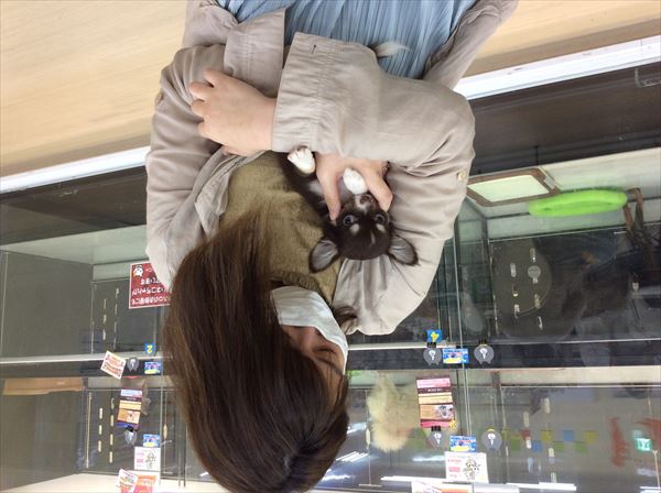 写真