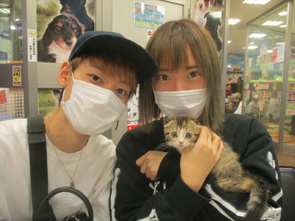 写真