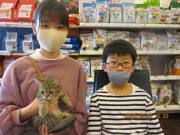 写真