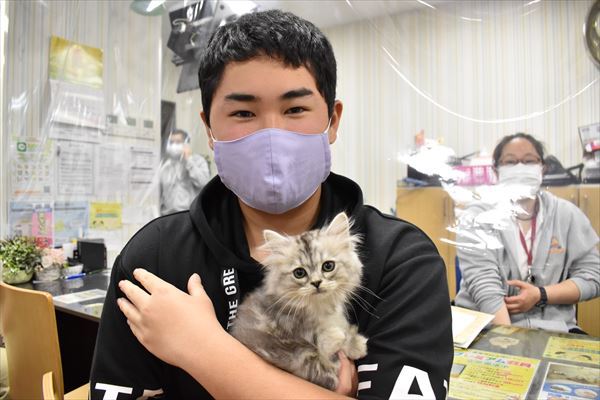 写真