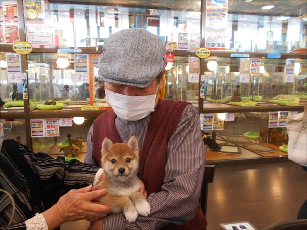 写真