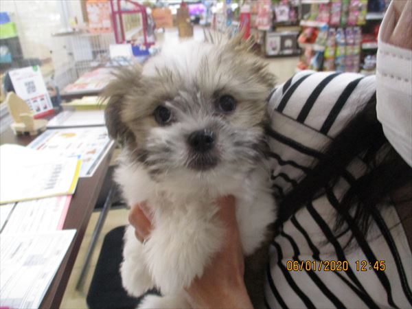 写真