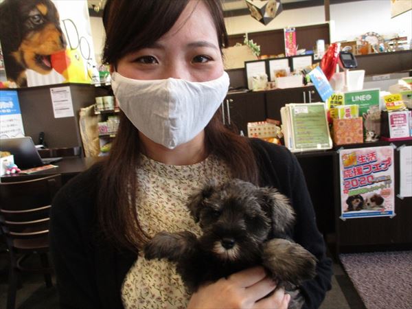 写真