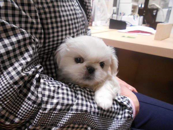 写真