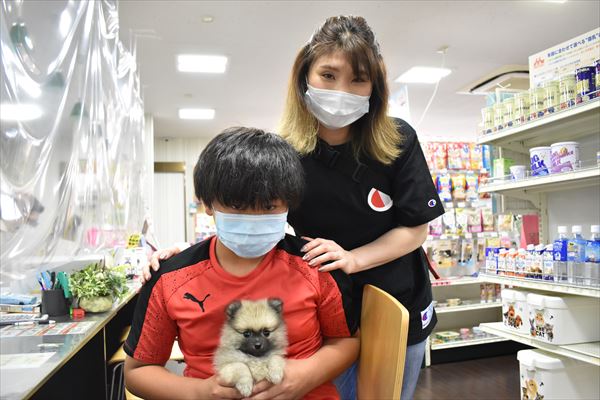 写真