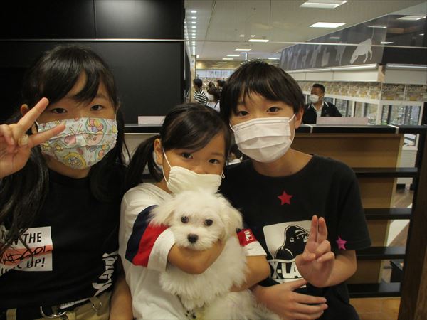 写真