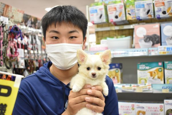 写真