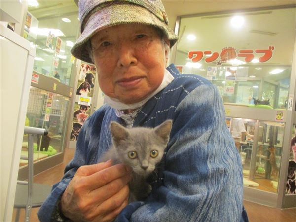 写真