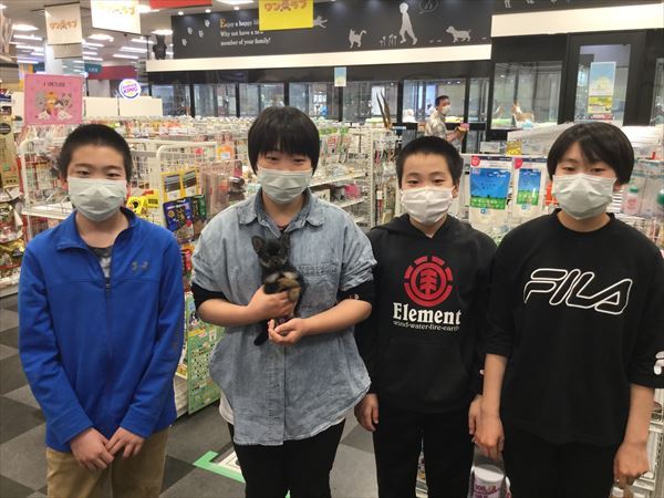 写真