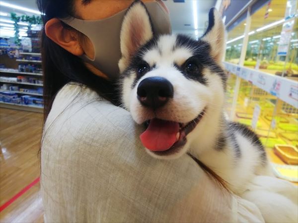 写真