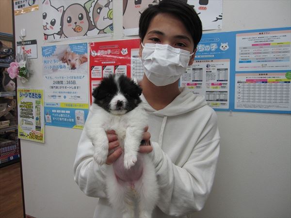 写真