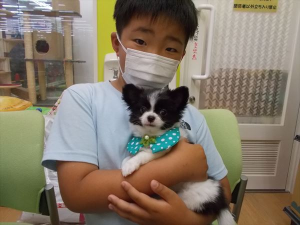写真