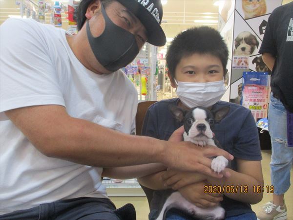 写真