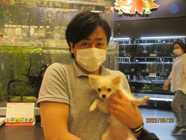 写真