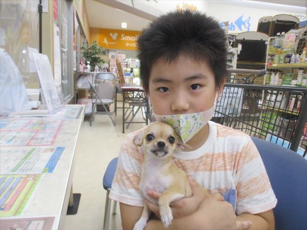 写真