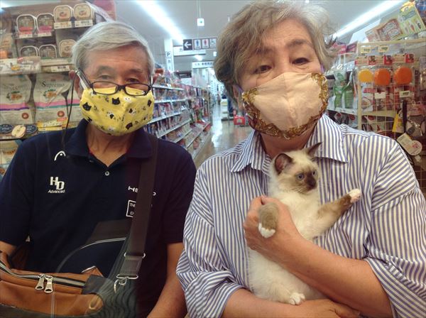 写真