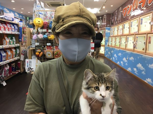 写真