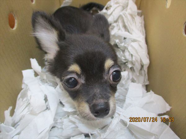 写真