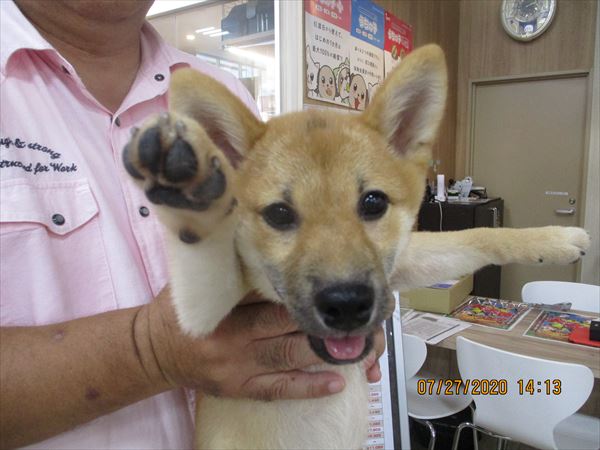 写真