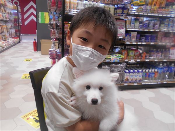 写真