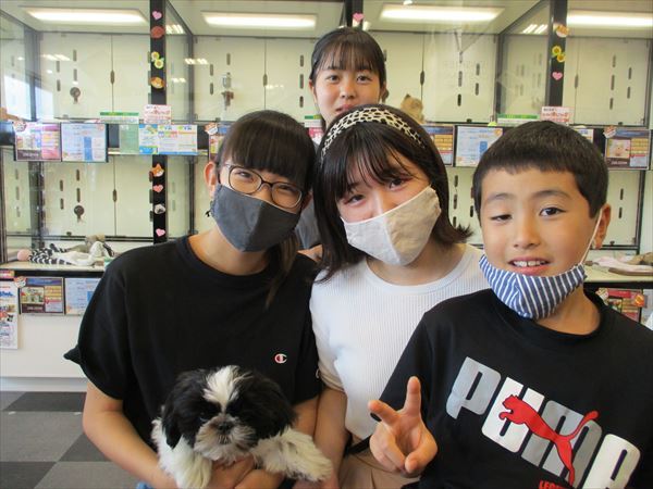 写真