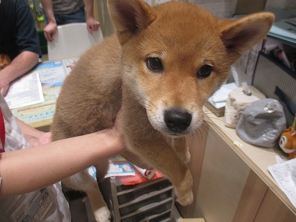写真
