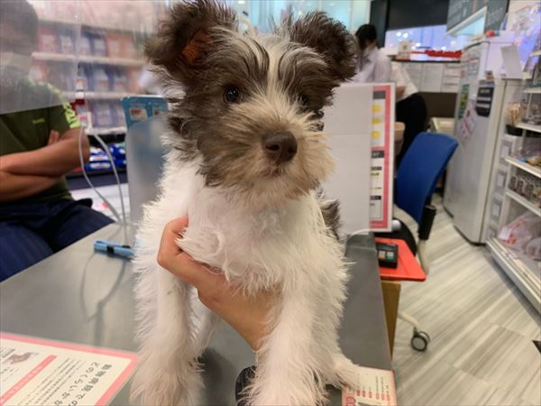 写真