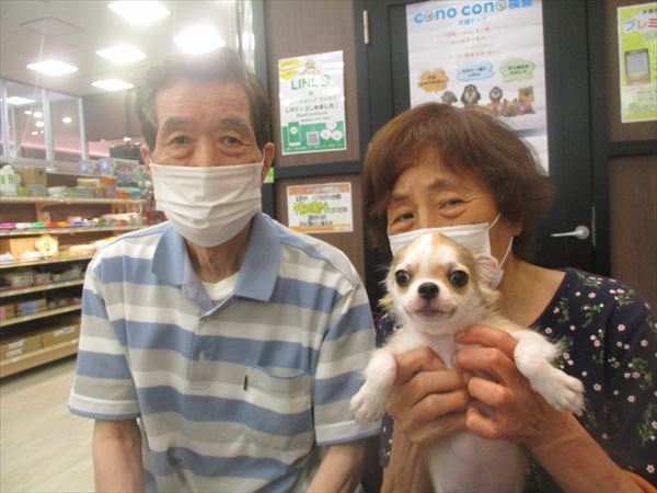 写真