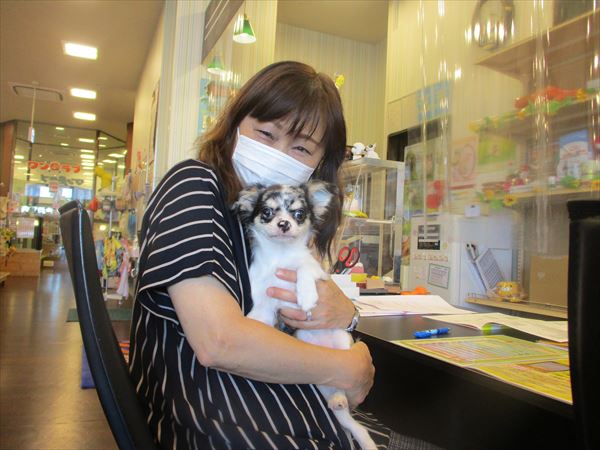 写真
