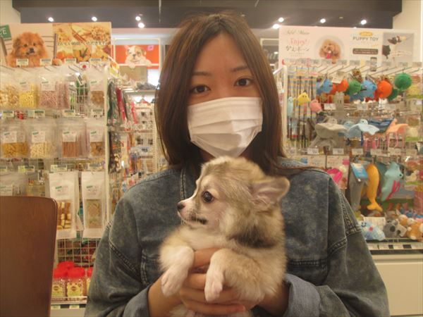 写真