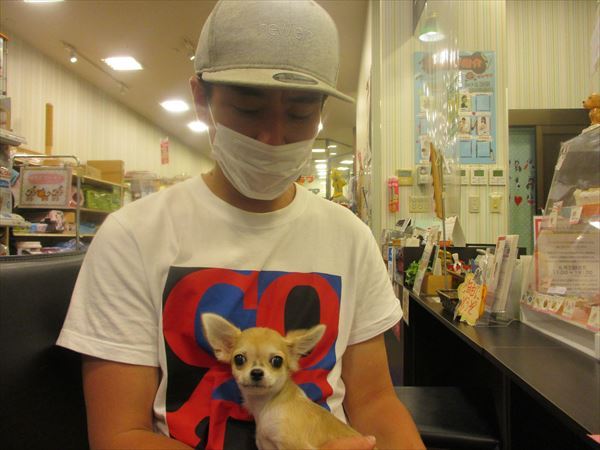 写真