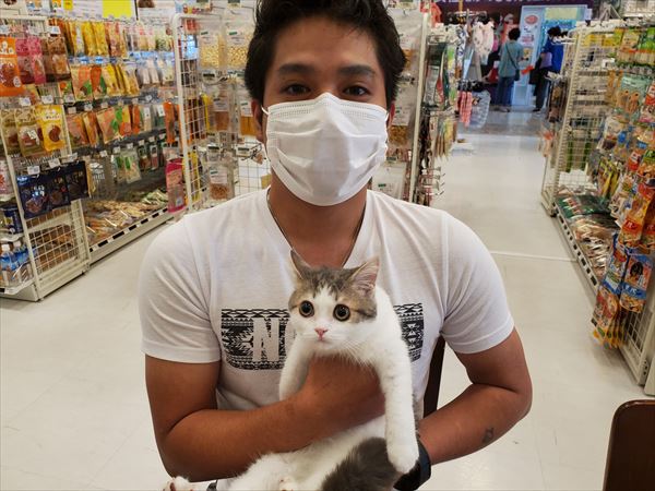 写真
