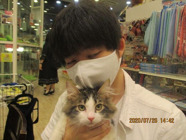 写真