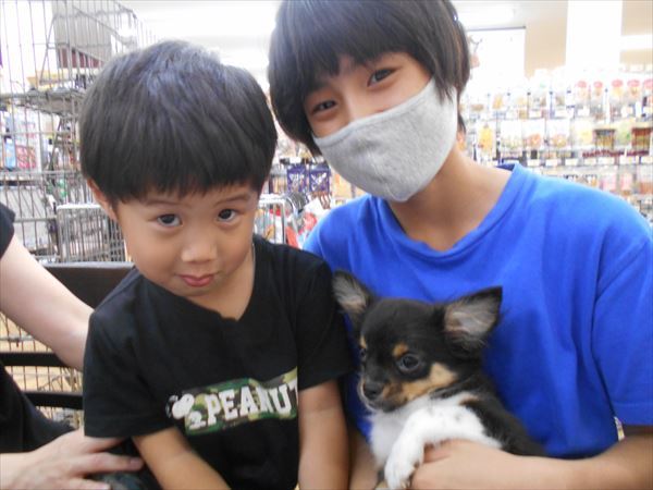 写真