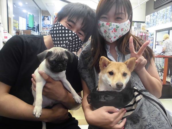 写真
