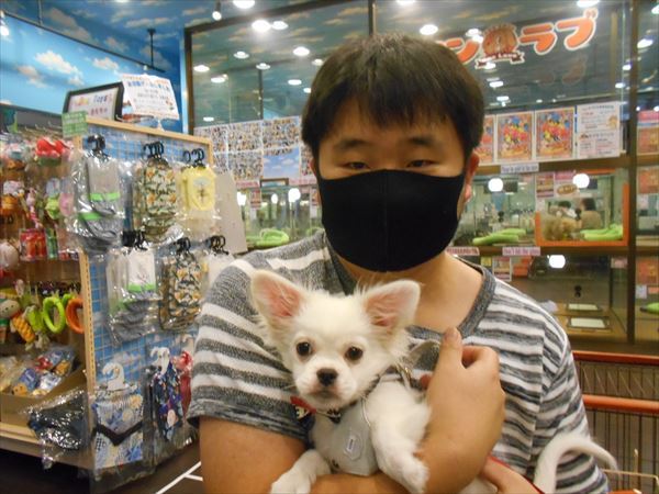 写真