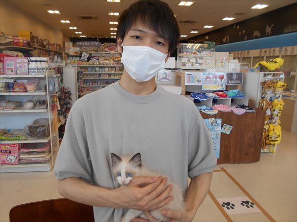 写真