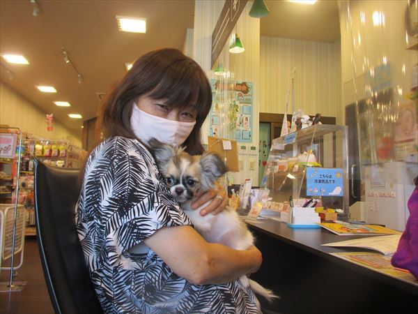 写真