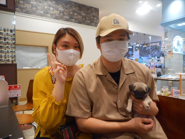 写真