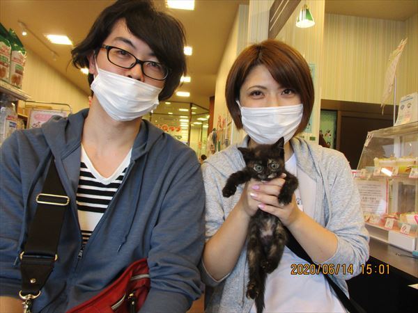 写真