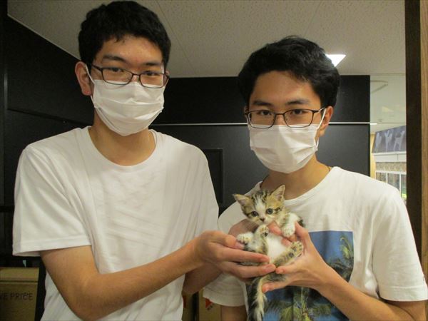 写真