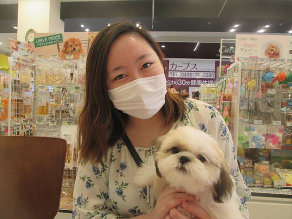 写真