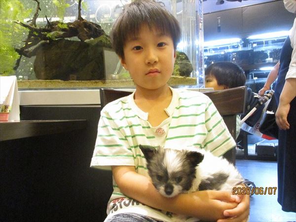 写真