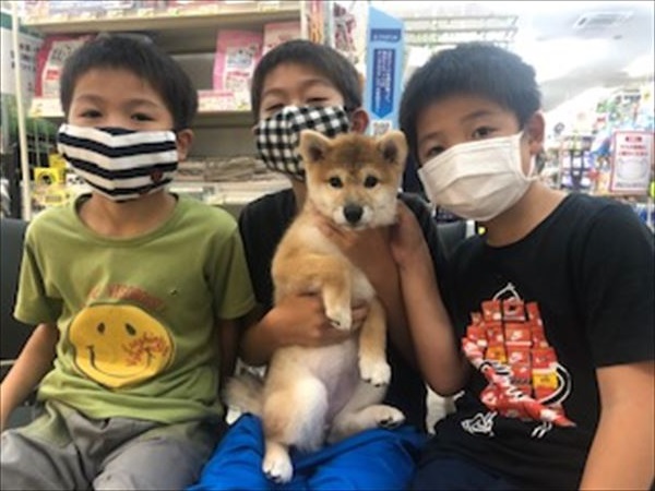 写真