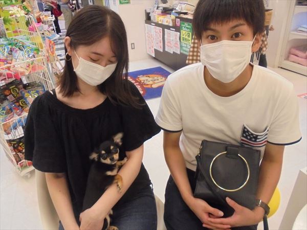 写真