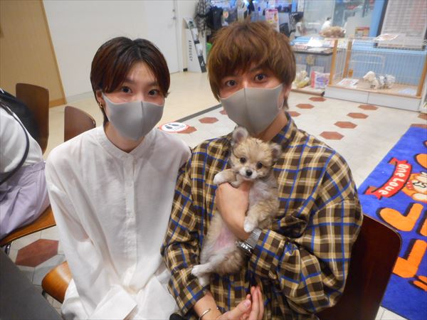 写真