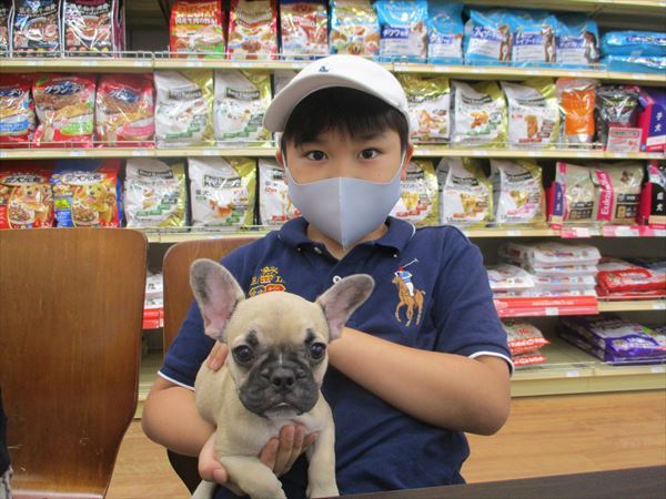写真